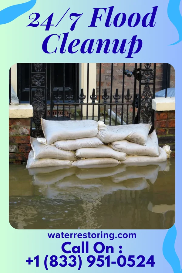 24/7 Flood Cleanup in Lake Odessa, MI