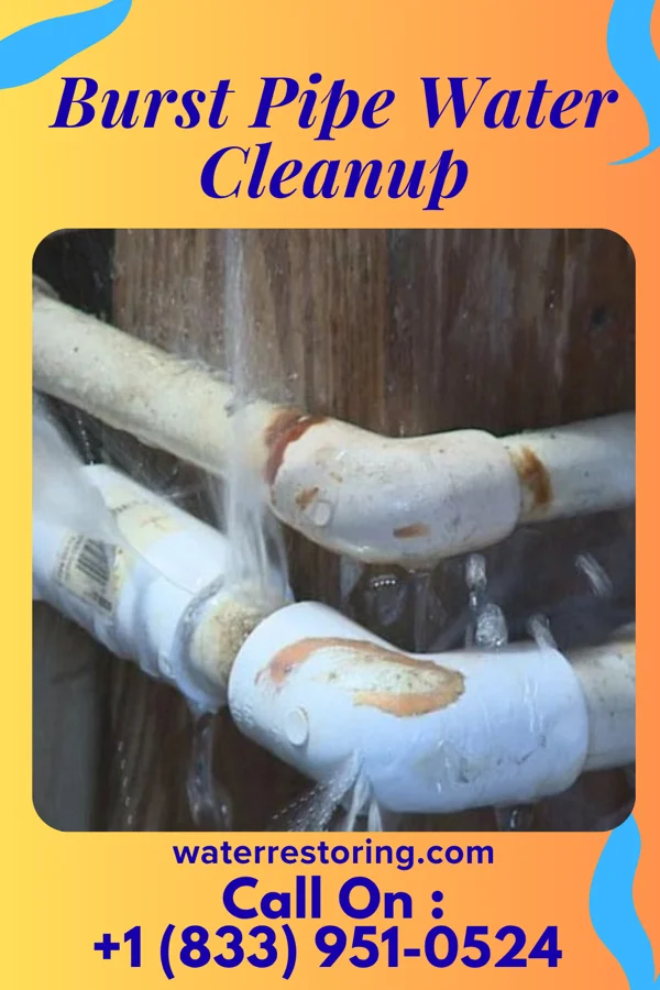 Burst Pipe Water Cleanup in Lake Odessa, MI
