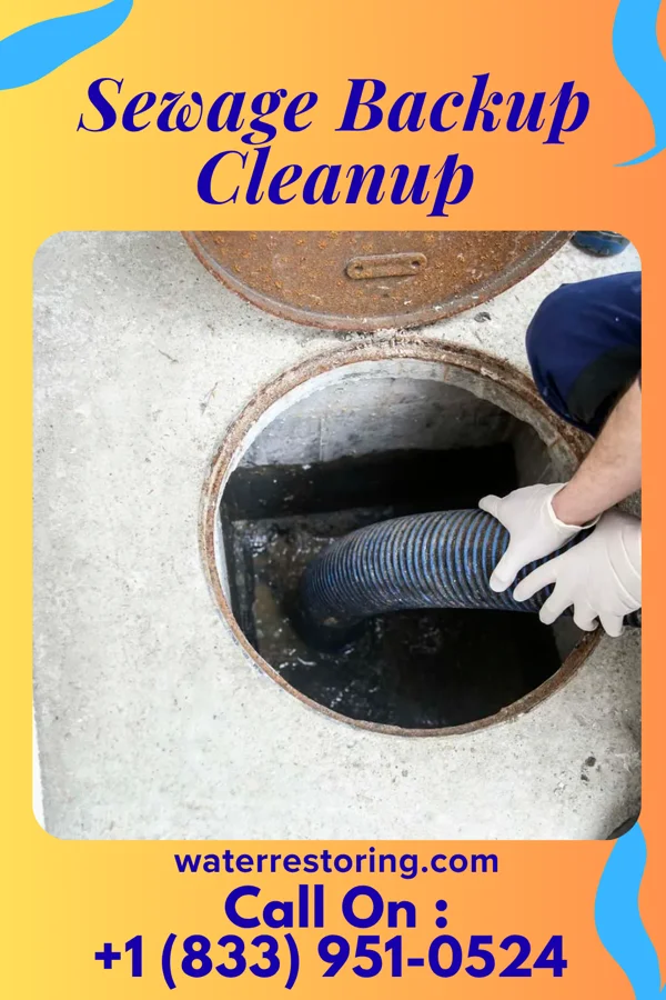 Sewage Backup Cleanup in Lake Odessa, MI