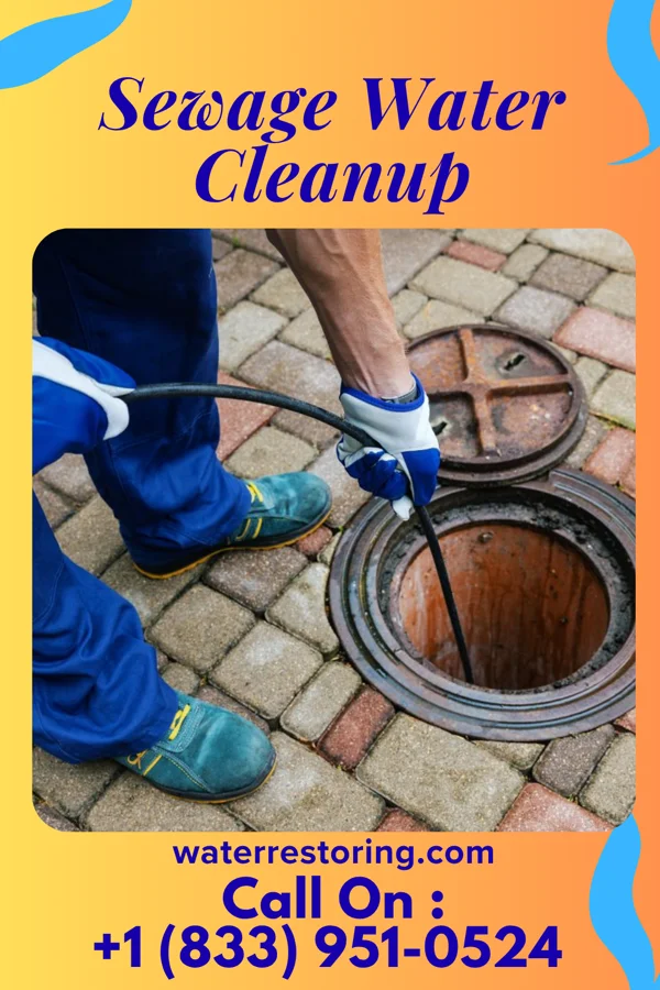 Sewage Water Cleanup in Lake Odessa, MI