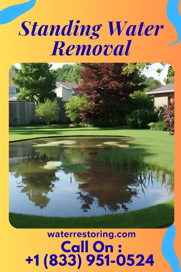 Standing Water Removal in Lake Odessa, MI